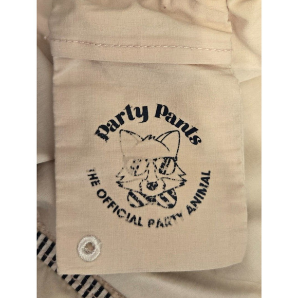 Party Pants Mens Swim Trunks Board Shorts XL Ivory Blue Wave Striped Beach Surf - Picture 10 of 13